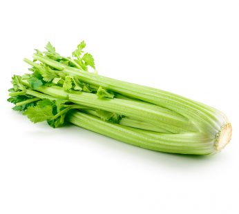 FR CELERY CHINA