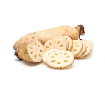 FR LOTUS ROOT